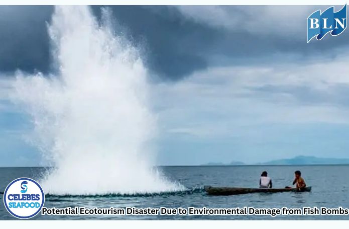 Potential Ecotourism Disaster Due to Environmental Damage from Fish Bombs